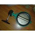 Carbon Steel Wafer Butterfly Valve with Gear Operator